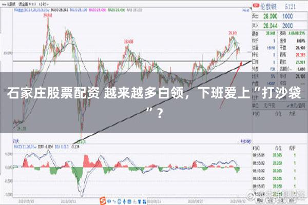 石家庄股票配资 越来越多白领，下班爱上“打沙袋”？