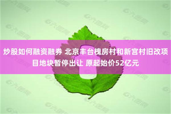 炒股如何融资融券 北京丰台槐房村和新宫村旧改项目地块暂停出让 原起始价52亿元