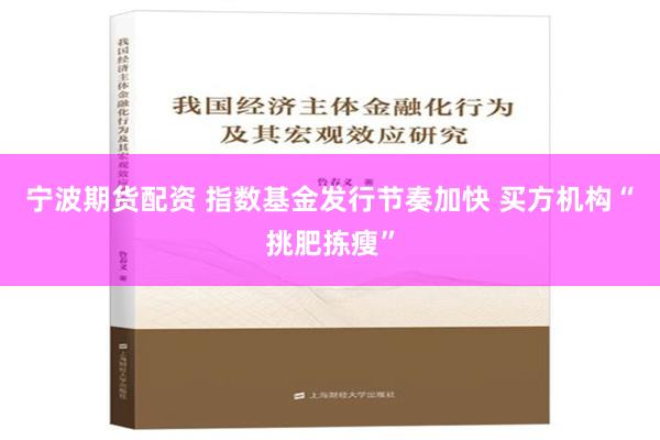 宁波期货配资 指数基金发行节奏加快 买方机构“挑肥拣瘦”