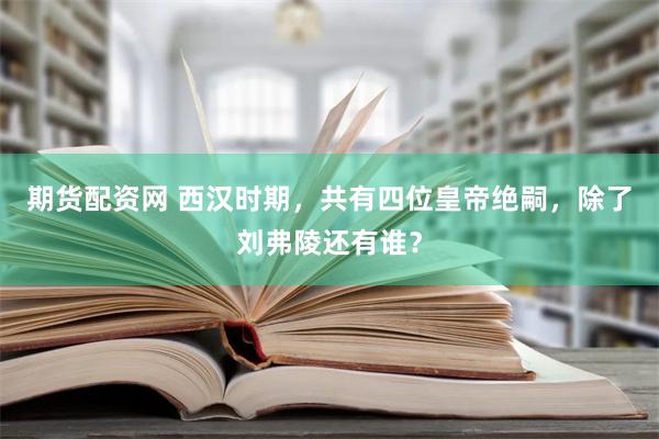 期货配资网 西汉时期，共有四位皇帝绝嗣，除了刘弗陵还有谁？