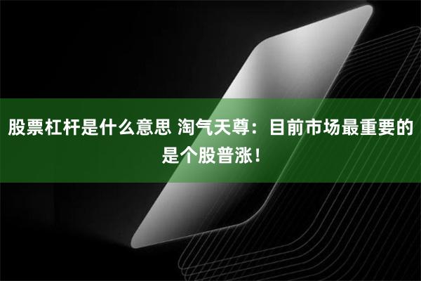 股票杠杆是什么意思 淘气天尊：目前市场最重要的是个股普涨！