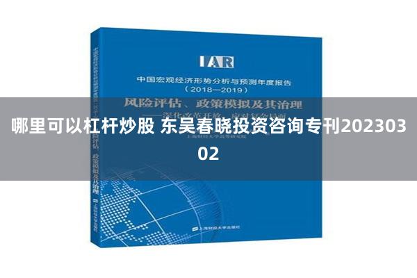 哪里可以杠杆炒股 东吴春晓投资咨询专刊20230302