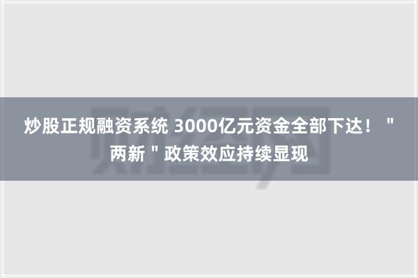 炒股正规融资系统 3000亿元资金全部下达！＂两新＂政策效应持续显现