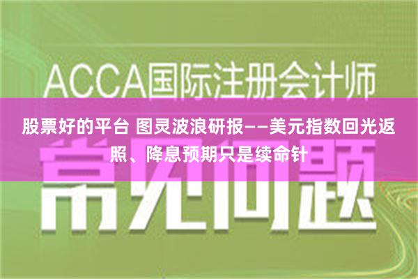 股票好的平台 图灵波浪研报——美元指数回光返照、降息预期只是续命针