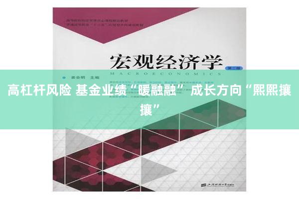 高杠杆风险 基金业绩“暖融融” 成长方向“熙熙攘攘”